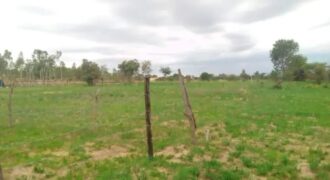 A beautiful land for sale at ZIMBABWE