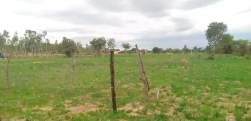 A beautiful land for sale at ZIMBABWE