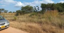 School stand for sale in Gweru.