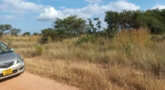 School stand for sale in Gweru.