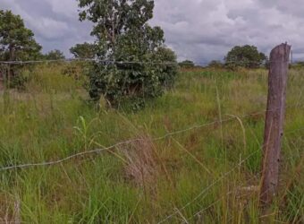 Vacant residential stand sitting on 4000 Sqm of land.