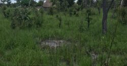 FIVE (5) HECTORS FARM FOR SALE IN KAPIRI MPOSHI’S CHIKOKOSHI AREA