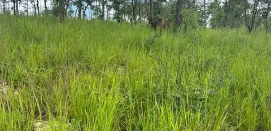 *PLOT FOR SALE IN CHIFWEMA AFTER NEW KASAMA ALONG LEOPARDS HILL ROAD*