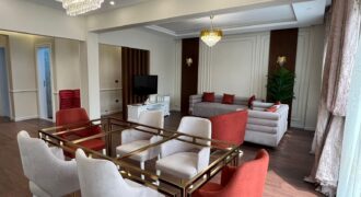 3 bedrooms Fully_Furnished Modern Apartment for rent in Degla maadi