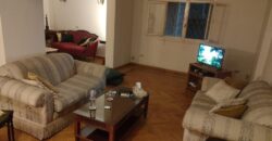 Apartment for rent Fully_Furnished in Degla maadi