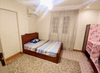 Apartment for rent Fully_Furnished in Degla maadi
