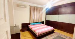 Apartment for rent Fully_Furnished in Degla maadi