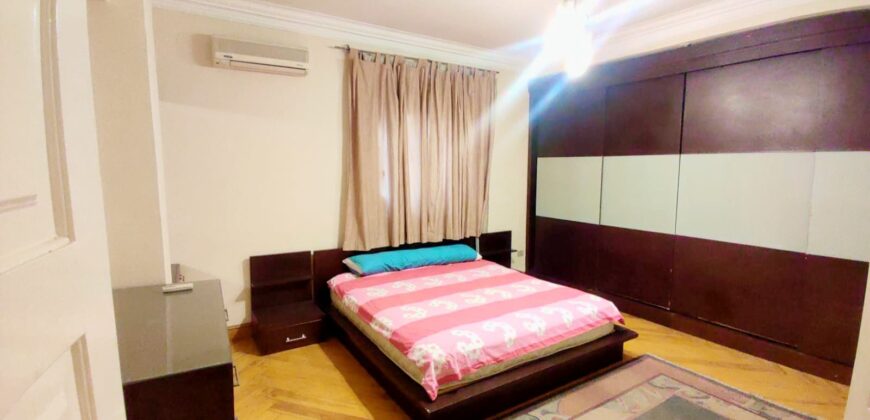 Apartment for rent Fully_Furnished in Degla maadi