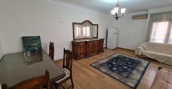 Apartment for rent Fully_Furnished in Degla maadi