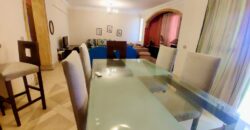 Apartment for rent Fully_Furnished in Degla maadi