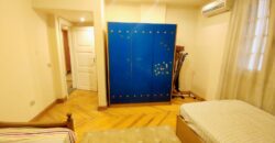 Apartment for rent Fully_Furnished in Degla maadi