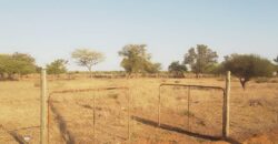 1,370sqm empty fenced plot with title deed