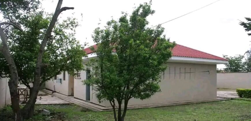 AREA 47 SECTOR 1 STAND ALONE HOUSE FOR RENT