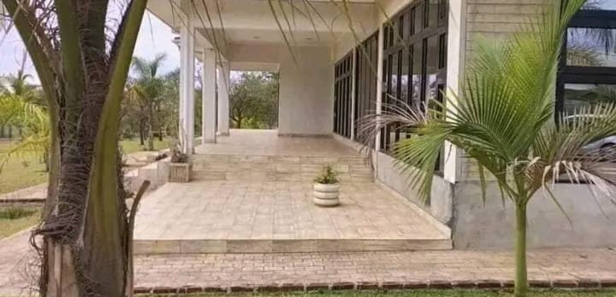 EXECUTIVE HOUSE AVAILABLE FOR SALE IN LILONGWE AIRWING FOUR BEDROOMS