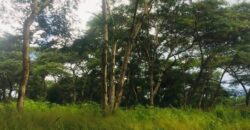 LAND FOR SALE KAFUE BEFORE SHIMABALA TOLL GATE