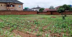 RESIDENTIAL PLOT FOR SALE IN LILONGWE AREA 47/1 WITH TITLE DEED