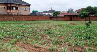 RESIDENTIAL PLOT FOR SALE IN LILONGWE AREA 47/1 WITH TITLE DEED