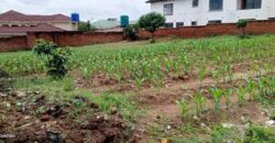 RESIDENTIAL PLOT FOR SALE IN LILONGWE AREA 47/1 WITH TITLE DEED