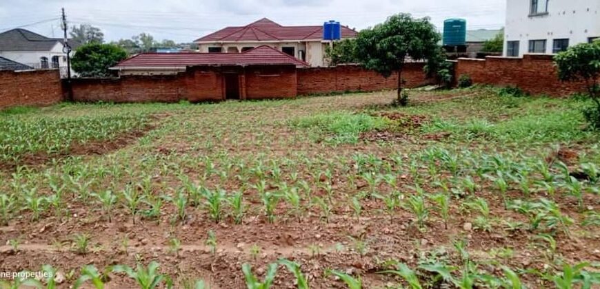 RESIDENTIAL PLOT FOR SALE IN LILONGWE AREA 47/1 WITH TITLE DEED