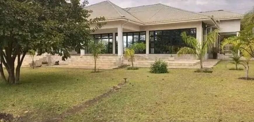 EXECUTIVE HOUSE AVAILABLE FOR SALE IN LILONGWE AIRWING FOUR BEDROOMS