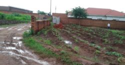 Unfinished house for sale in lilongwe area 25 sector 4