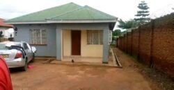 3 BEDROOMS MASTER BEDROOM ENSUITE FOR RENT AREA 22 A