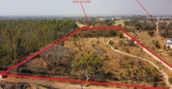 5 ACRES LOT FOR SALE IN BONANZA GOLF ESTATE