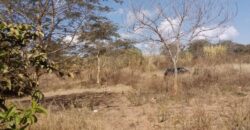 3.7 ACRES COMMERCIAL LAND FOR SALE IN WATERFALLS.