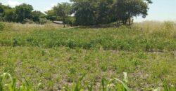 PLOT FOR SALE IN FOXDALE/NGWERERE AREA