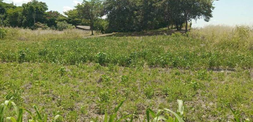 PLOT FOR SALE IN FOXDALE/NGWERERE AREA