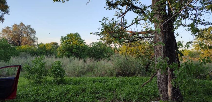 STUNNING RIVERFRONT PLOT IN MAUN BY THAMALAKANE RIVER FOR SALE