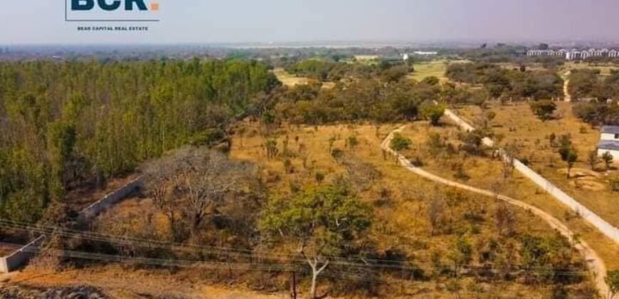 5 ACRES LOT FOR SALE IN BONANZA GOLF ESTATE