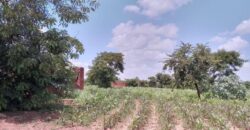 UNFINISHED HOUSE FOR SALE AREA 38 BYPASS ROAD LILONGWE