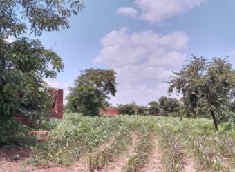 UNFINISHED HOUSE FOR SALE AREA 38 BYPASS ROAD LILONGWE