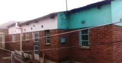 3 BEDROOMS MASTER BEDROOM HOUSE FOR SALE CHISAPO 2