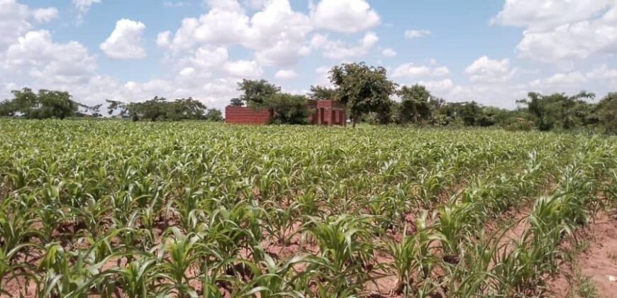 UNFINISHED HOUSE FOR SALE AREA 38 BYPASS ROAD LILONGWE