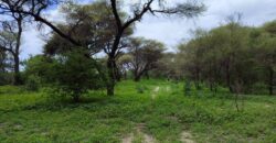 BEAUTIFUL PIECE OF LAND IN CHANOGA BY THE RIVERSIDE FOR SALE