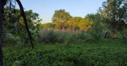 STUNNING RIVERFRONT PLOT IN MAUN BY THAMALAKANE RIVER FOR SALE