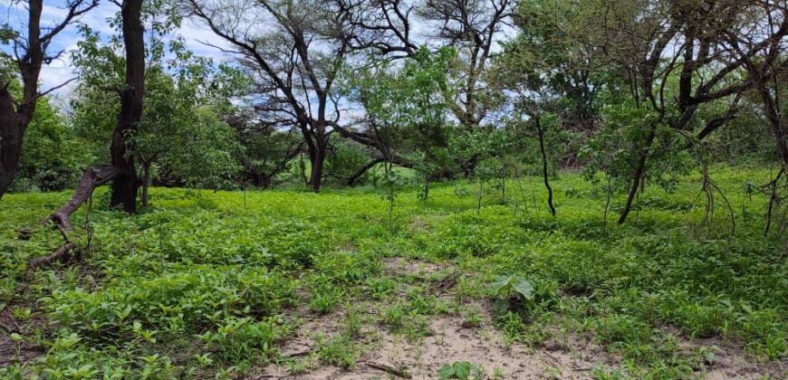 BEAUTIFUL PIECE OF LAND IN CHANOGA BY THE RIVERSIDE FOR SALE