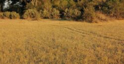 6 HECTARES UNDEVELOPED FARM ALONG THAMALAKANE RIVER MOCHABENG