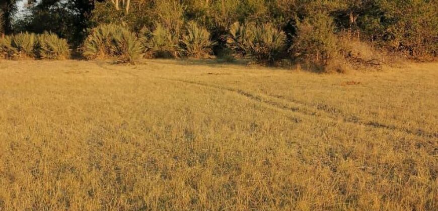 6 HECTARES UNDEVELOPED FARM ALONG THAMALAKANE RIVER MOCHABENG