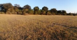 6 HECTARES UNDEVELOPED FARM ALONG THAMALAKANE RIVER MOCHABENG