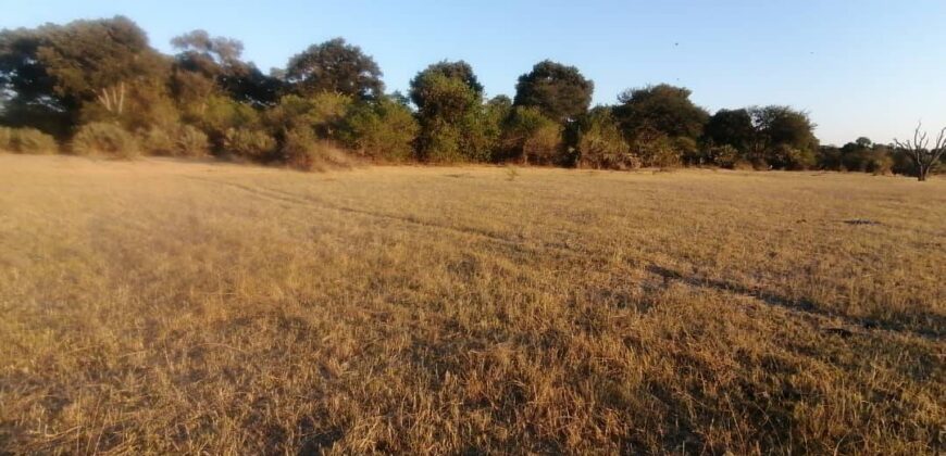 6 HECTARES UNDEVELOPED FARM ALONG THAMALAKANE RIVER MOCHABENG