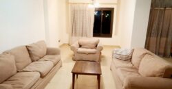 Apartment for rent Fully_Furnished in Degla maadi