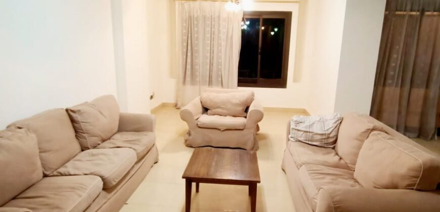 Apartment for rent Fully_Furnished in Degla maadi