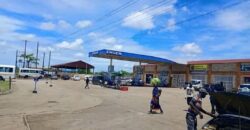 SALE: Filling Station Along Mumbwa Road