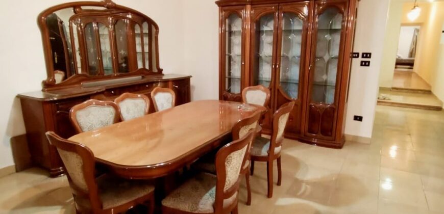 Apartment for rent Fully_Furnished in Degla maadi