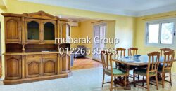 Amazing Apartment For Rent in Maadi Sarayat – Cairo – Egypt