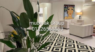 Modern Duplex For Rent in Maadi Degla – Cairo Egypt