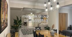 Modern Duplex For Rent in Maadi Degla – Cairo Egypt